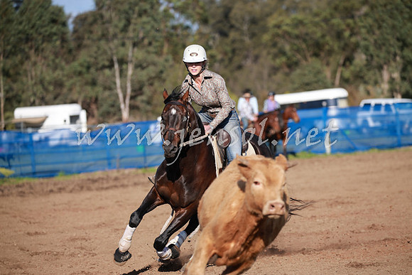 CCCampdraft2016_0515