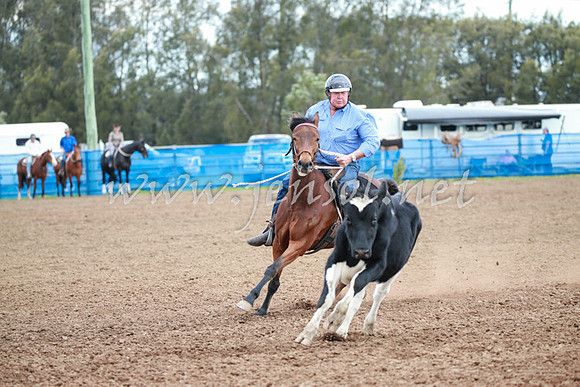 CCCampdraft2016_0061