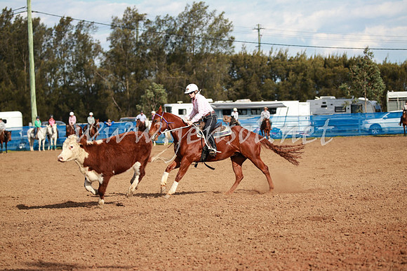 CCCampdraft2016_0396