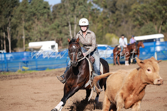 CCCampdraft2016_0510