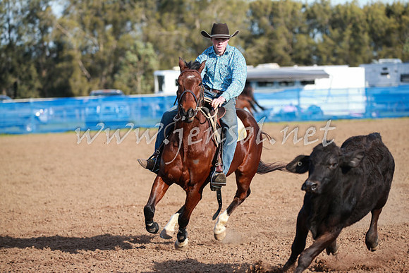 CCCampdraft2016_0554