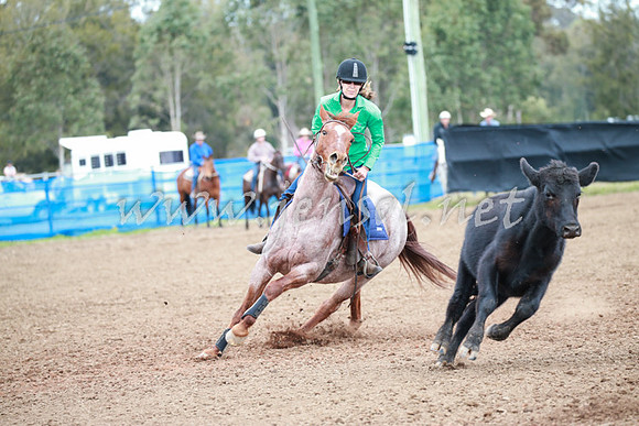 CCCampdraft2016_0049