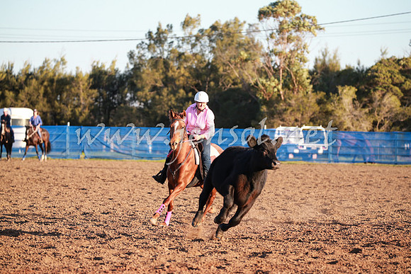 CCCampdraft2016_0880