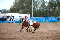 CCCampdraft2016_0086