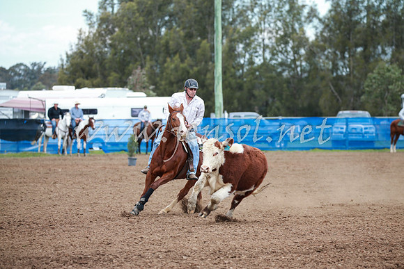 CCCampdraft2016_0086