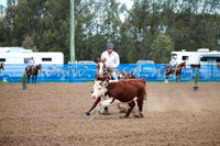 CCCampdraft2016_0092