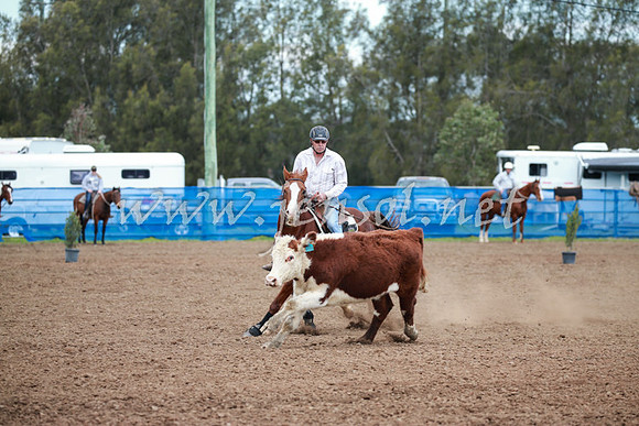 CCCampdraft2016_0092
