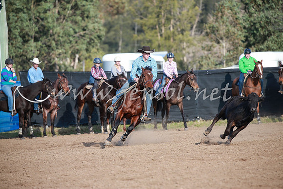 CCCampdraft2016_0568