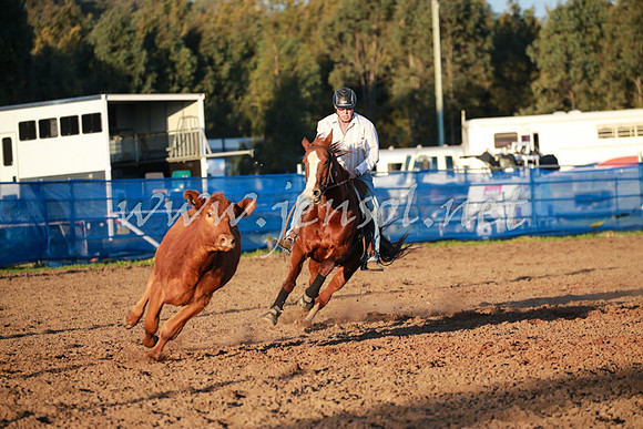 CCCampdraft2016_0902