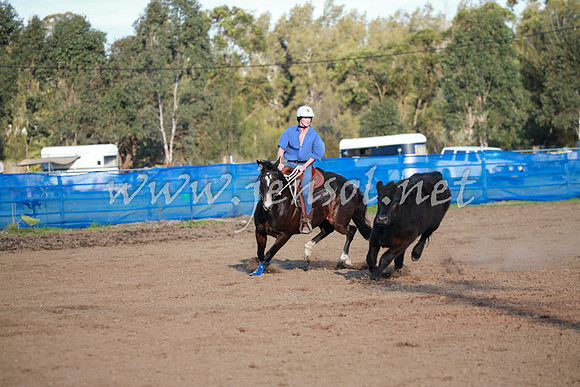 CCCampdraft2016_0732