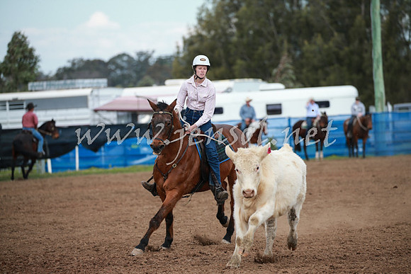 CCCampdraft2016_0136