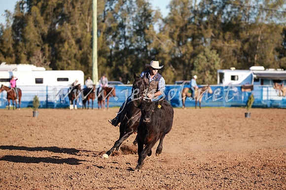 CCCampdraft2016_0785