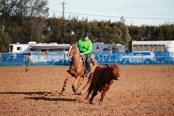 CCCampdraft2016_0683