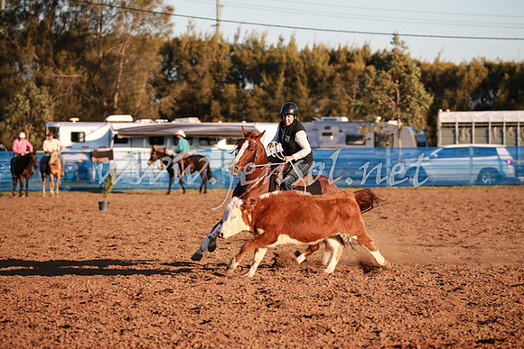 CCCampdraft2016_0848