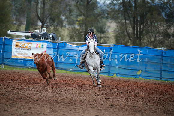 CCCampdraft2016_0110