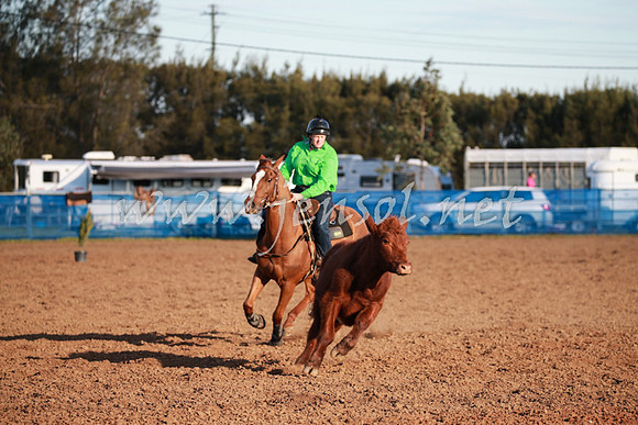CCCampdraft2016_0688