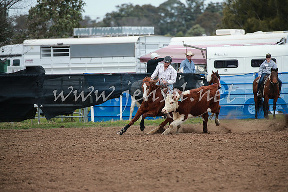 CCCampdraft2016_0100