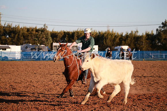 CCCampdraft2016_0810