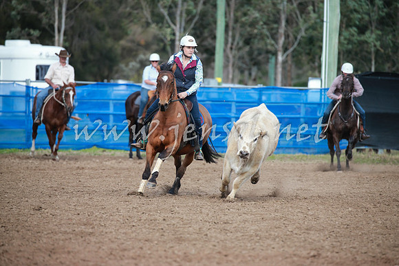 CCCampdraft2016_0293