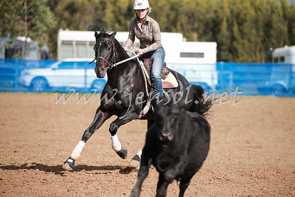 CCCampdraft2016_0186