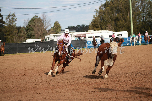 CCCampdraft2016_0404