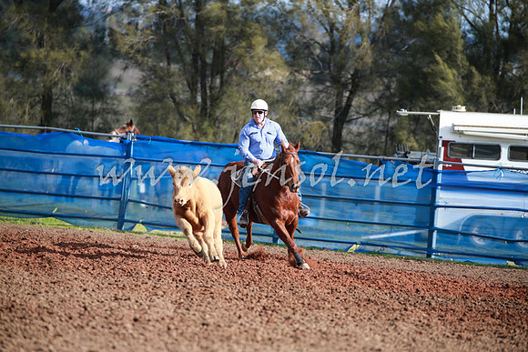 CCCampdraft2016_0349