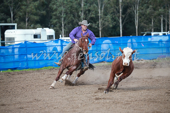 CCCampdraft2016_0362