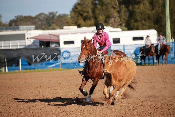 CCCampdraft2016_0612