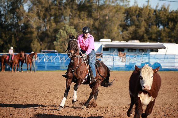 CCCampdraft2016_0660