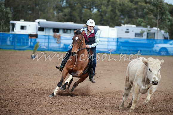 CCCampdraft2016_0243
