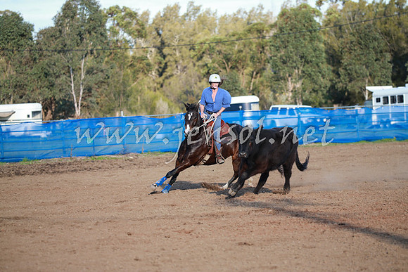 CCCampdraft2016_0731