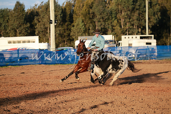 CCCampdraft2016_0946