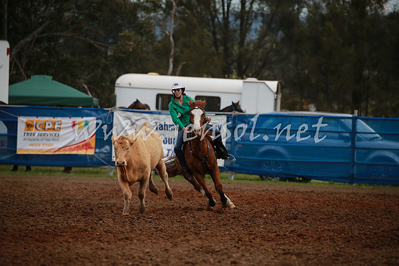 CCCampdraft2016_0041