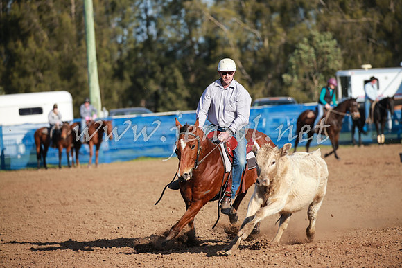 CCCampdraft2016_0591