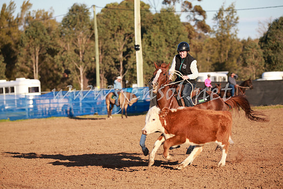 CCCampdraft2016_0862