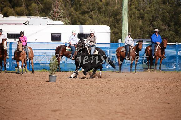 CCCampdraft2016_0201