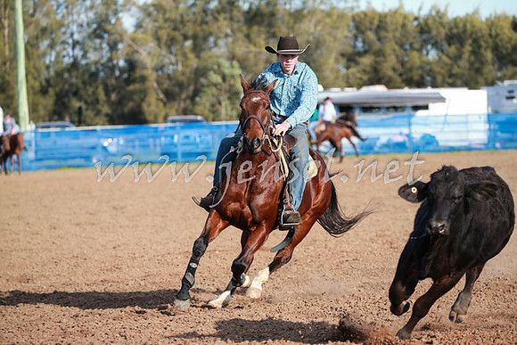 CCCampdraft2016_0552