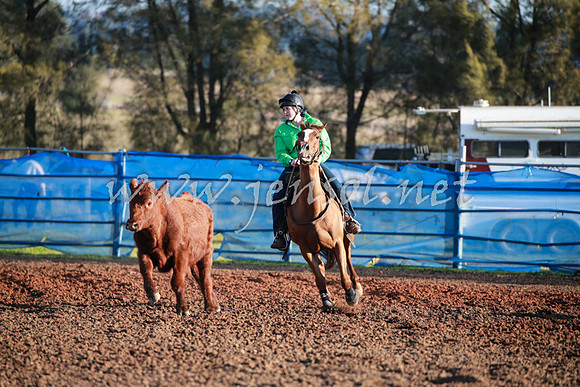 CCCampdraft2016_0699