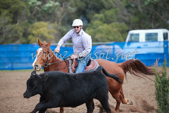 CCCampdraft2016_0215