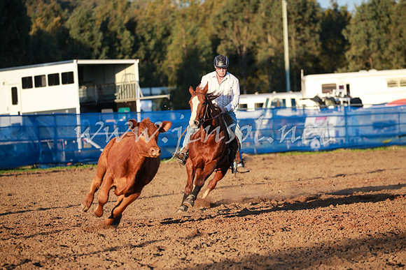 CCCampdraft2016_0903