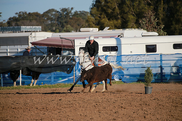 CCCampdraft2016_0765