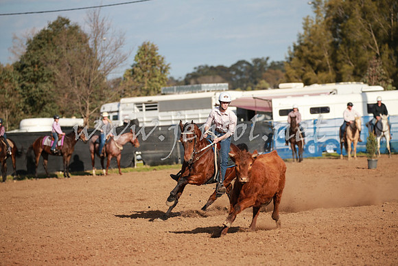 CCCampdraft2016_0445