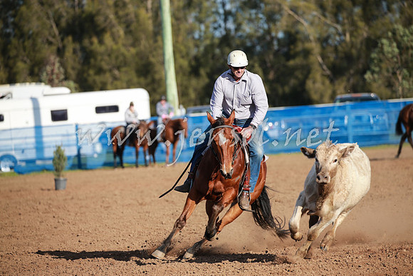 CCCampdraft2016_0579