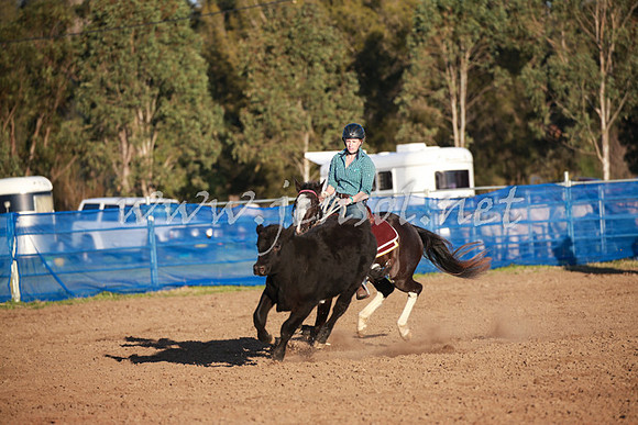 CCCampdraft2016_0840