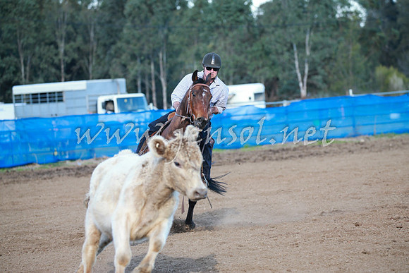 CCCampdraft2016_0640