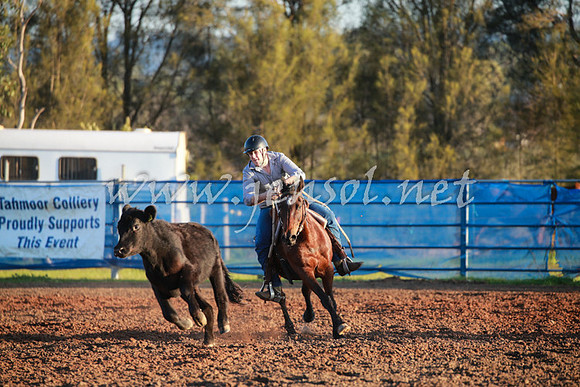 CCCampdraft2016_0890