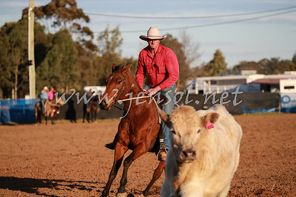 CCCampdraft2016_0865