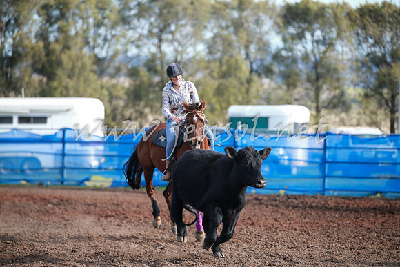 CCCampdraft2016_0444