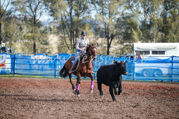 CCCampdraft2016_0437