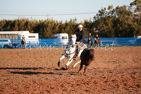 CCCampdraft2016_0746